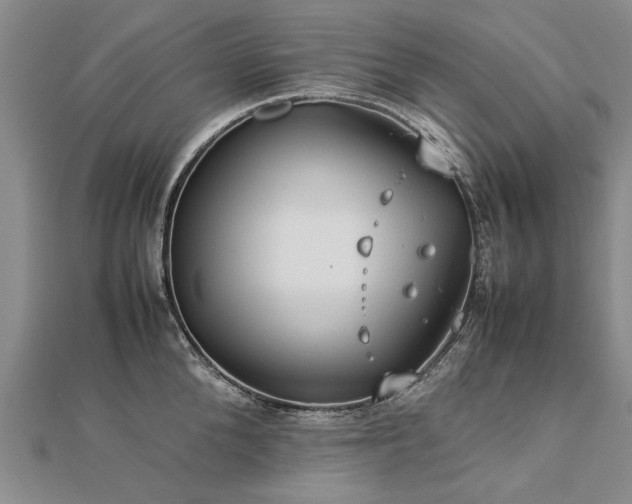 X0000112770904200908271639