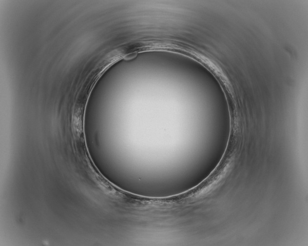X0000112770905200908271639