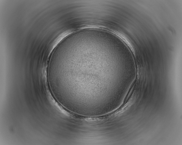 X0000112770906200908271639