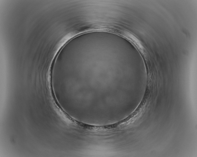 X0000112770907200908271639