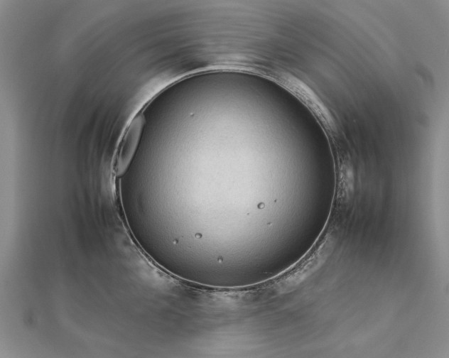 X0000112770908200908271639