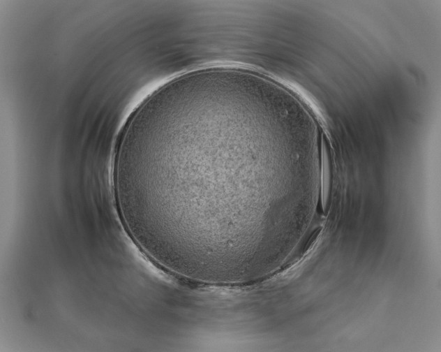 X0000112770910200908271638