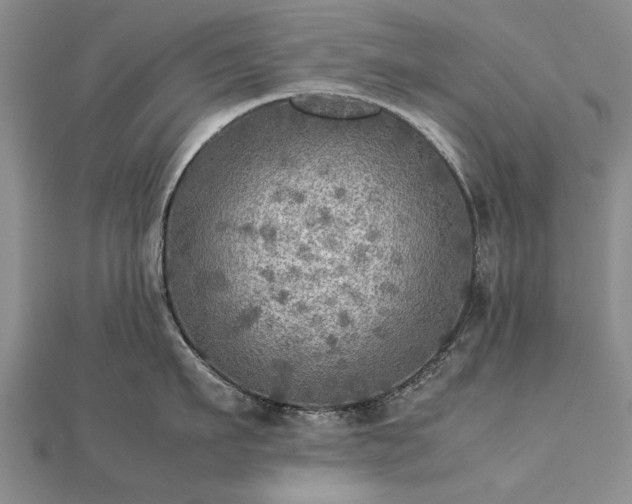 X0000112770911200908271638