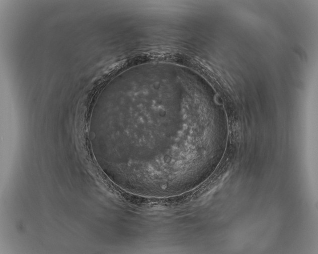 X0000112770913200908271638