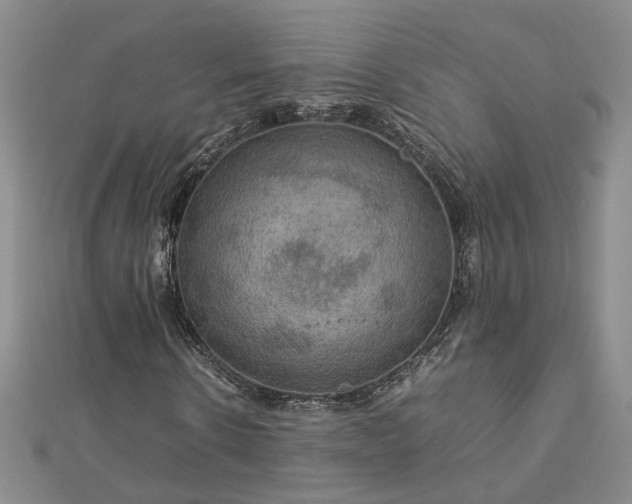 X0000112770914200908271638