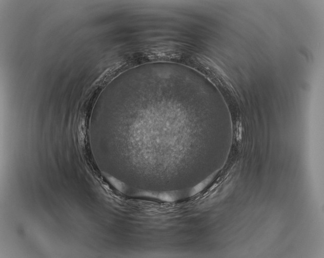 X0000112770915200908271638
