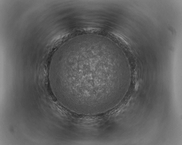 X0000112770917200908271638