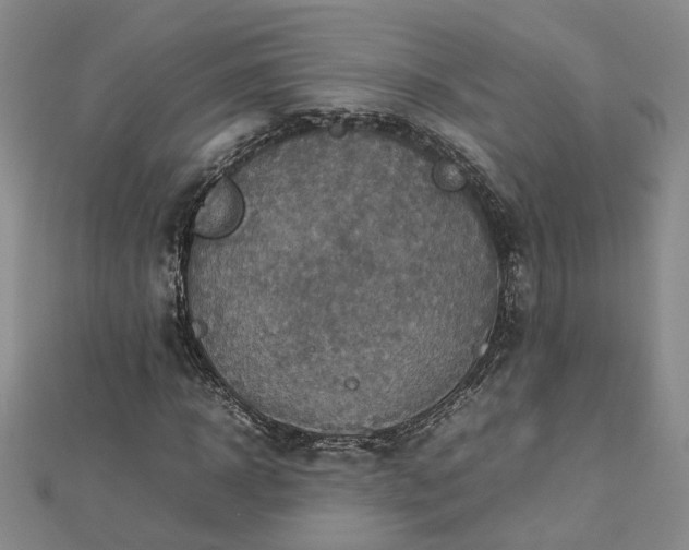 X0000112770918200908271638