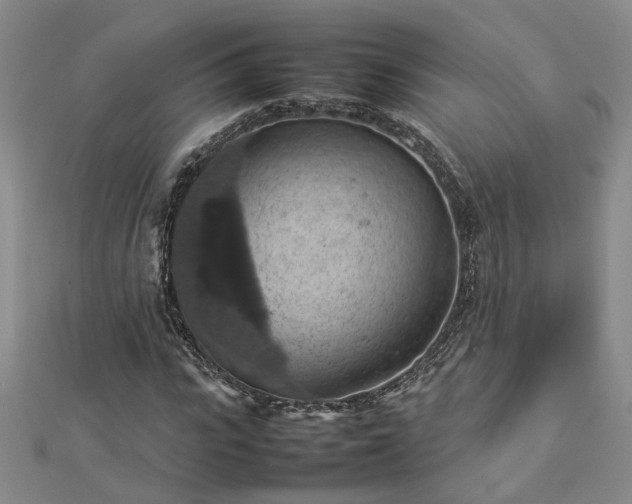 X0000112770919200908271638