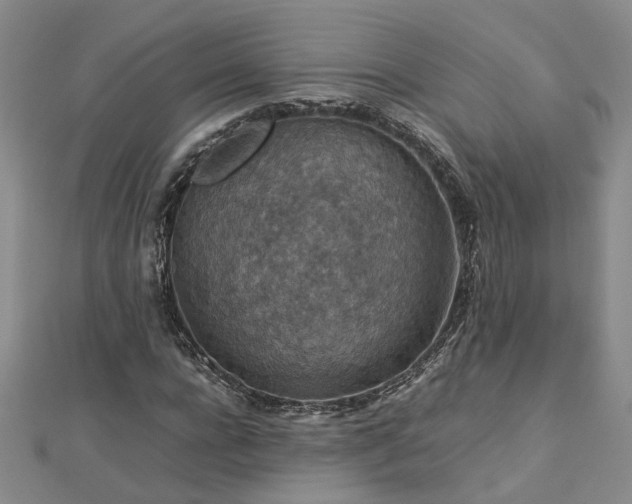 X0000112770920200908271638