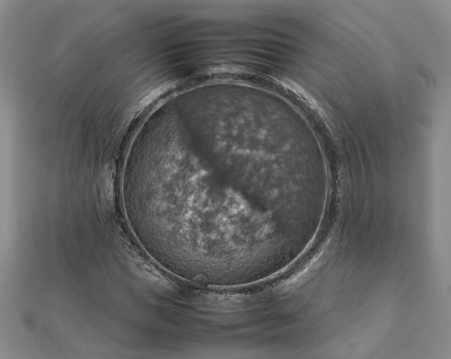 X0000112770921200908271638