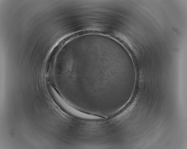 X0000112770923200908271638