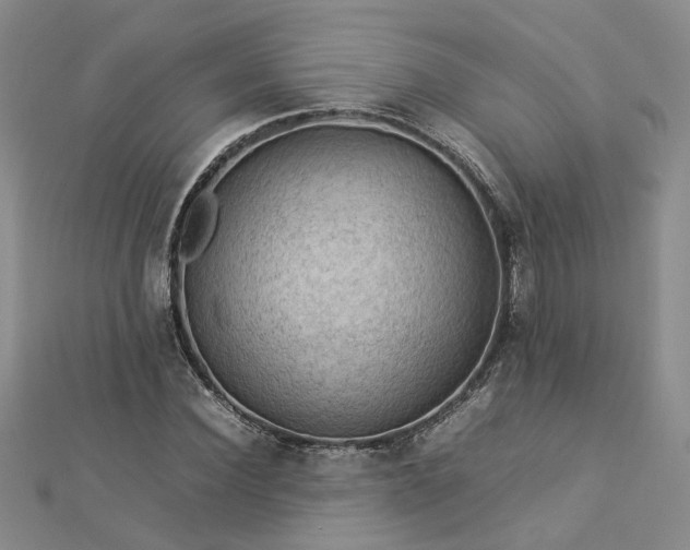X0000112770924200908271638