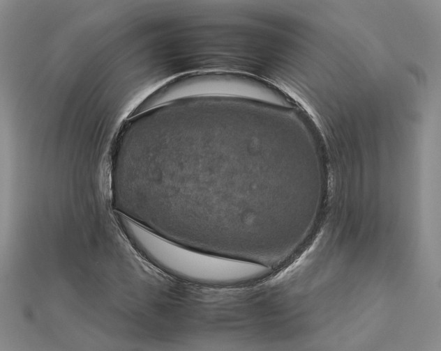 X0000112770925200908271638