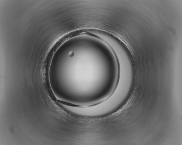 X0000112770926200908271638