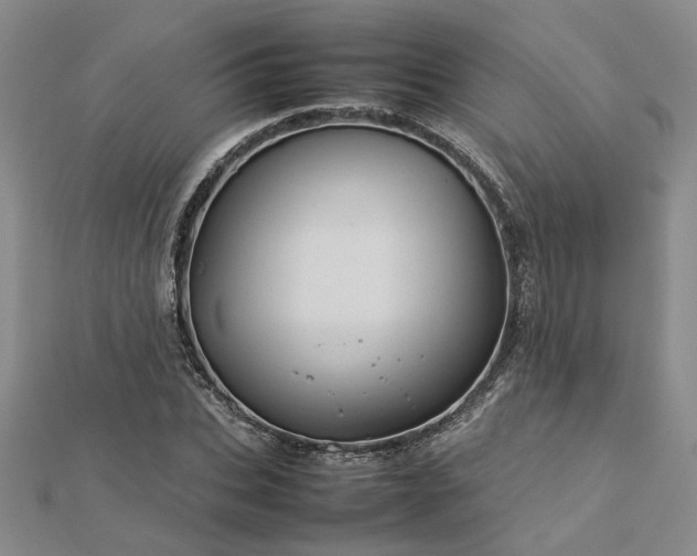 X0000112770927200908271638