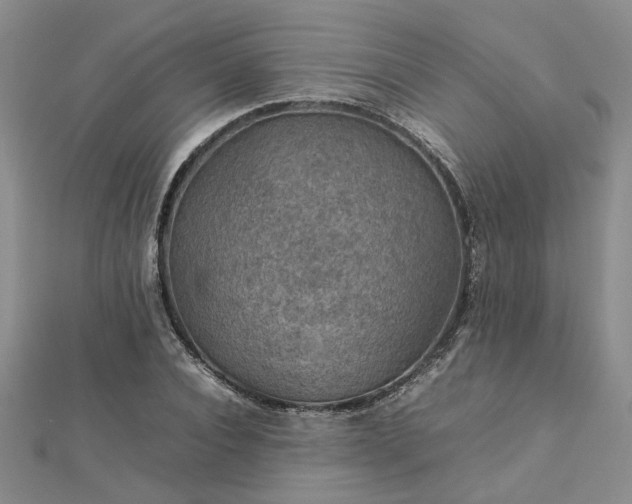 X0000112770928200908271638