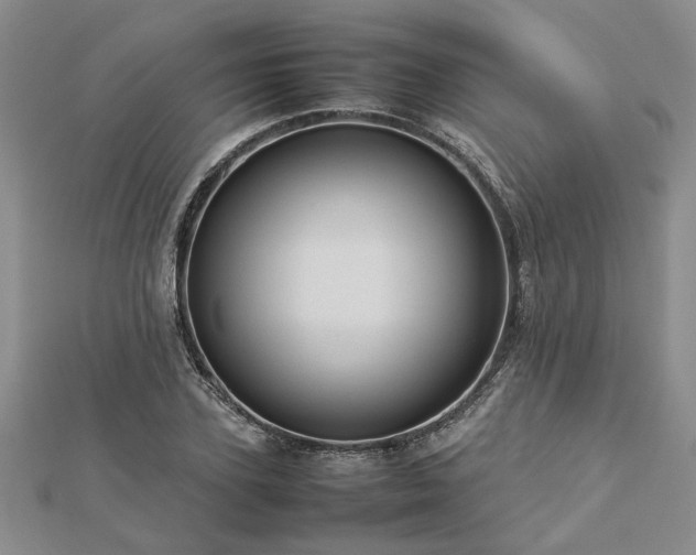 X0000112770931200908271638