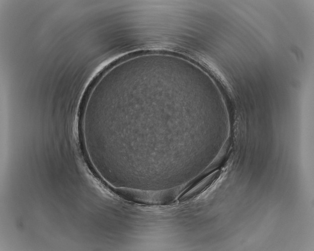 X0000112770932200908271638