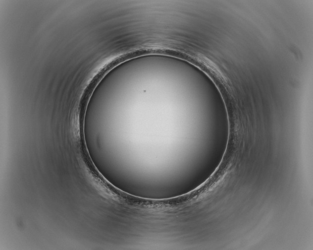 X0000112770934200908271638