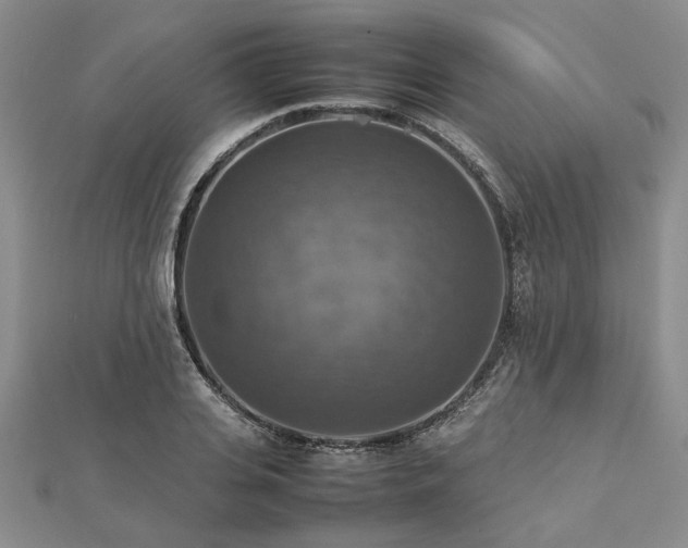 X0000112770935200908271638