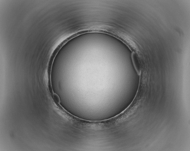 X0000112770936200908271638