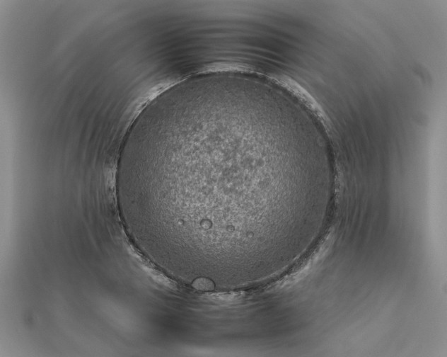 X0000112770937200908271638