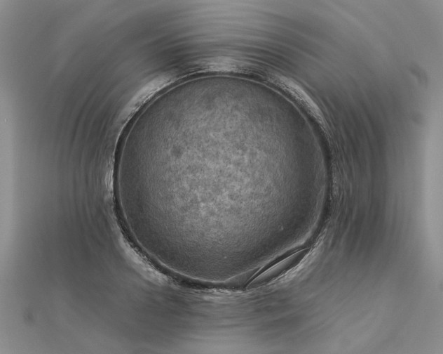 X0000112770938200908271638
