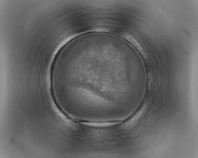 X0000112770939200908271638