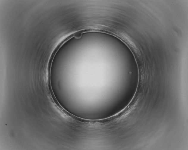 X0000112770940200908271638