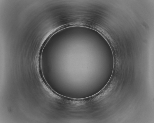 X0000112770941200908271638