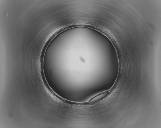 X0000112770942200908271638