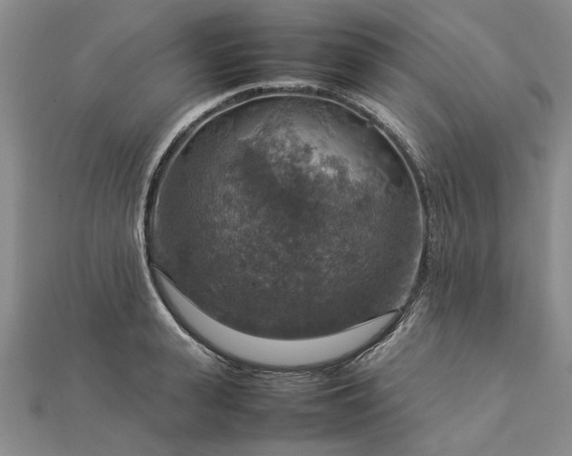 X0000112770943200908271638