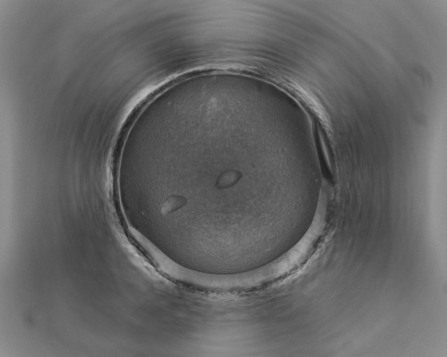 X0000112770944200908271638