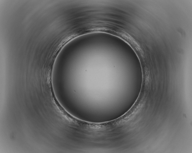X0000112770945200908271638