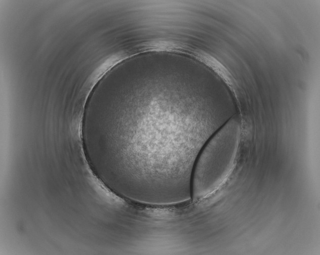 X0000112770946200908271638