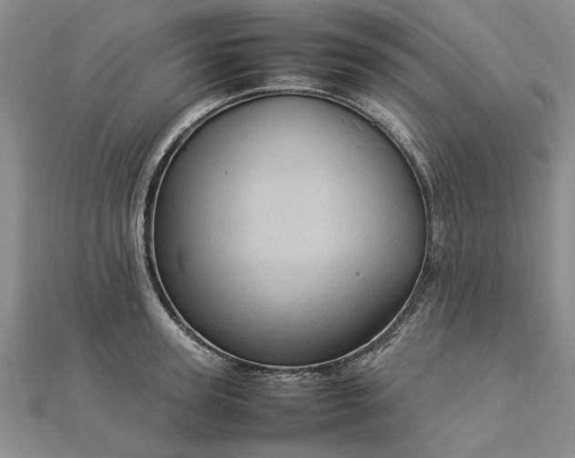 X0000112770947200908271638