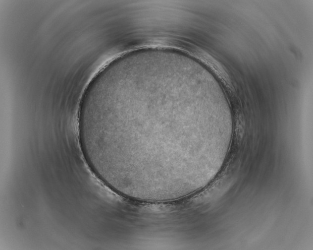 X0000112770950200908271638