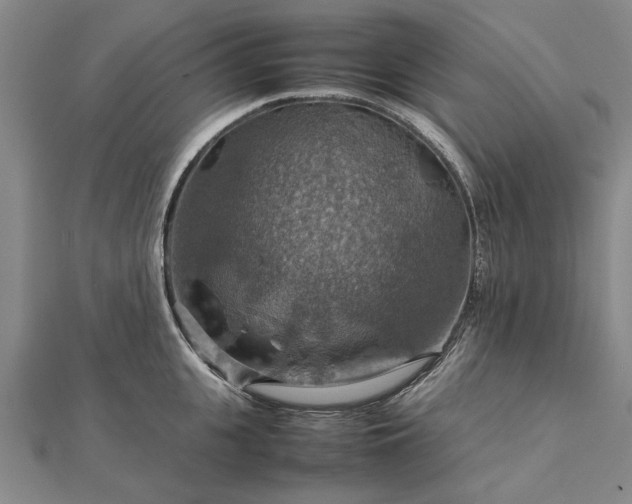 X0000112770951200908271638