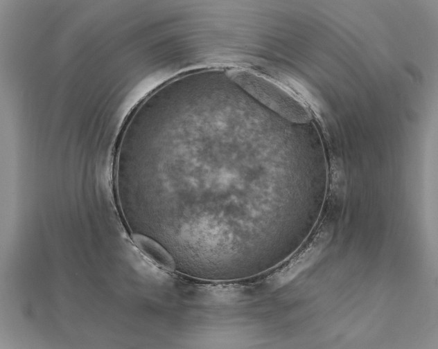 X0000112770952200908271638