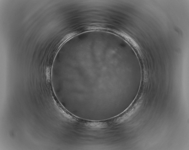 X0000112770953200908271638