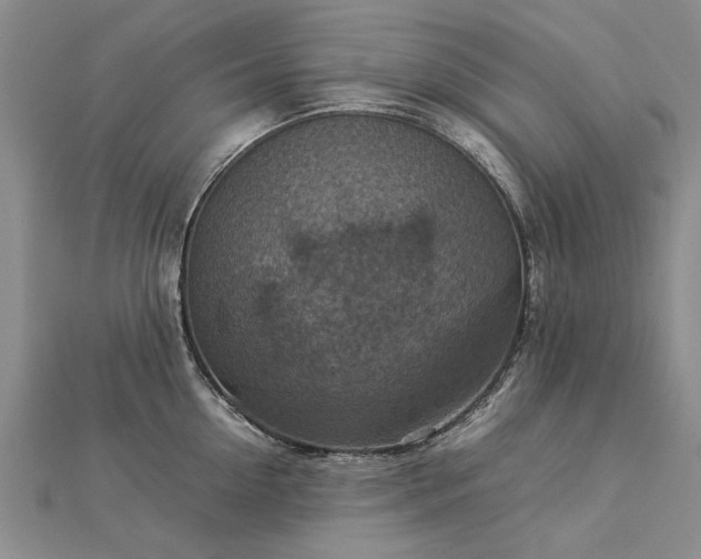 X0000112770954200908271638