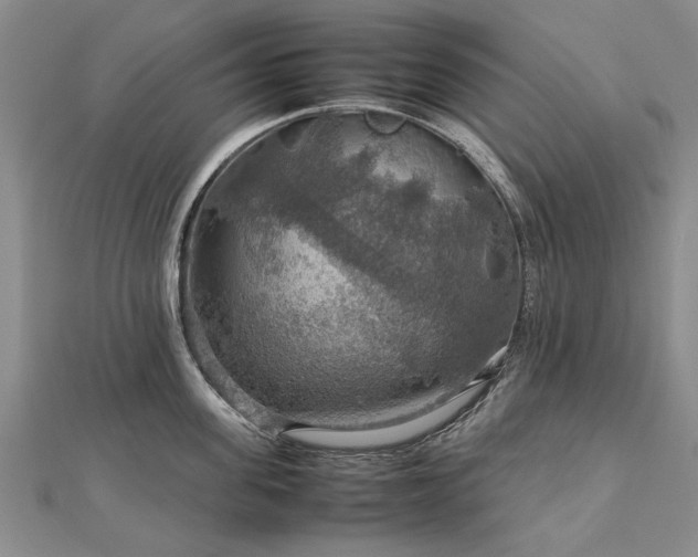 X0000112770955200908271638