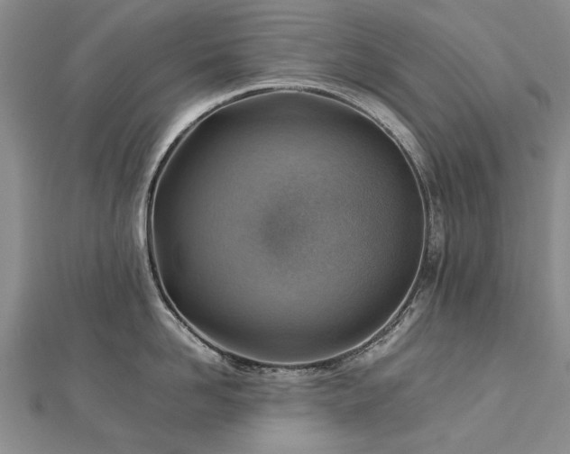 X0000112770958200908271638