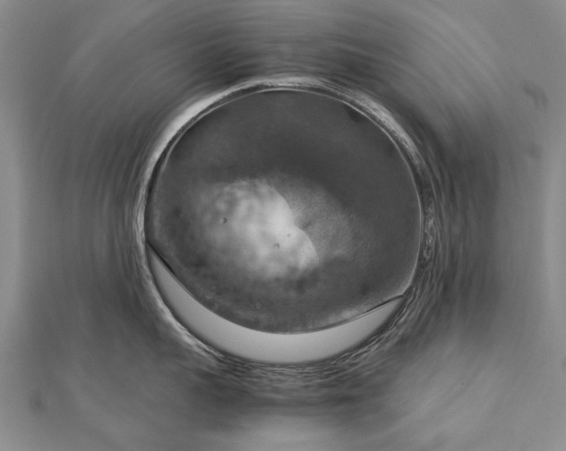 X0000112770959200908271638