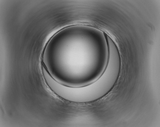 X0000112770960200908271638