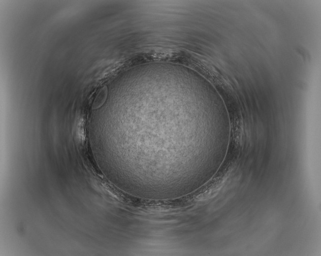 X0000112770962200908271638