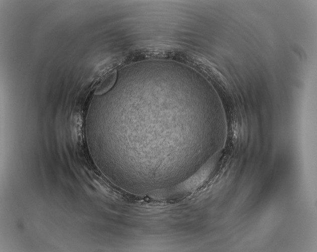 X0000112770964200908271638