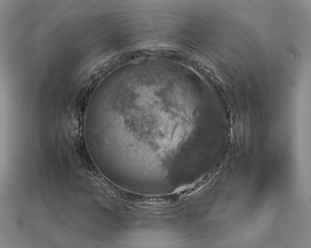 X0000112770966200908271638
