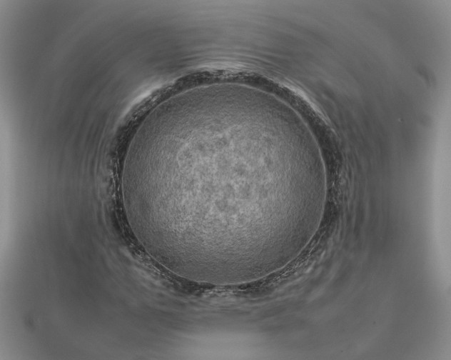 X0000112770967200908271638